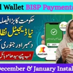 Digital Wallet BISP Payments 2026